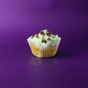 Mint Chocolate Chip cupcake