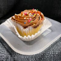 Vanilla cupcake with chocolate buttercream frosting and seasonal sprinkles. Vanilla Chocolate